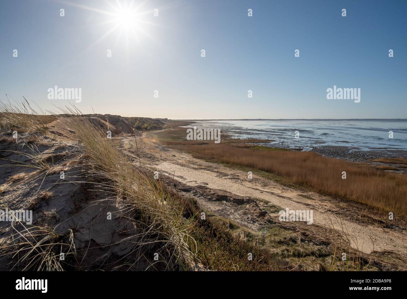 Pacifc Rift Rift cliffs hi-res stock photography and images - Alamy