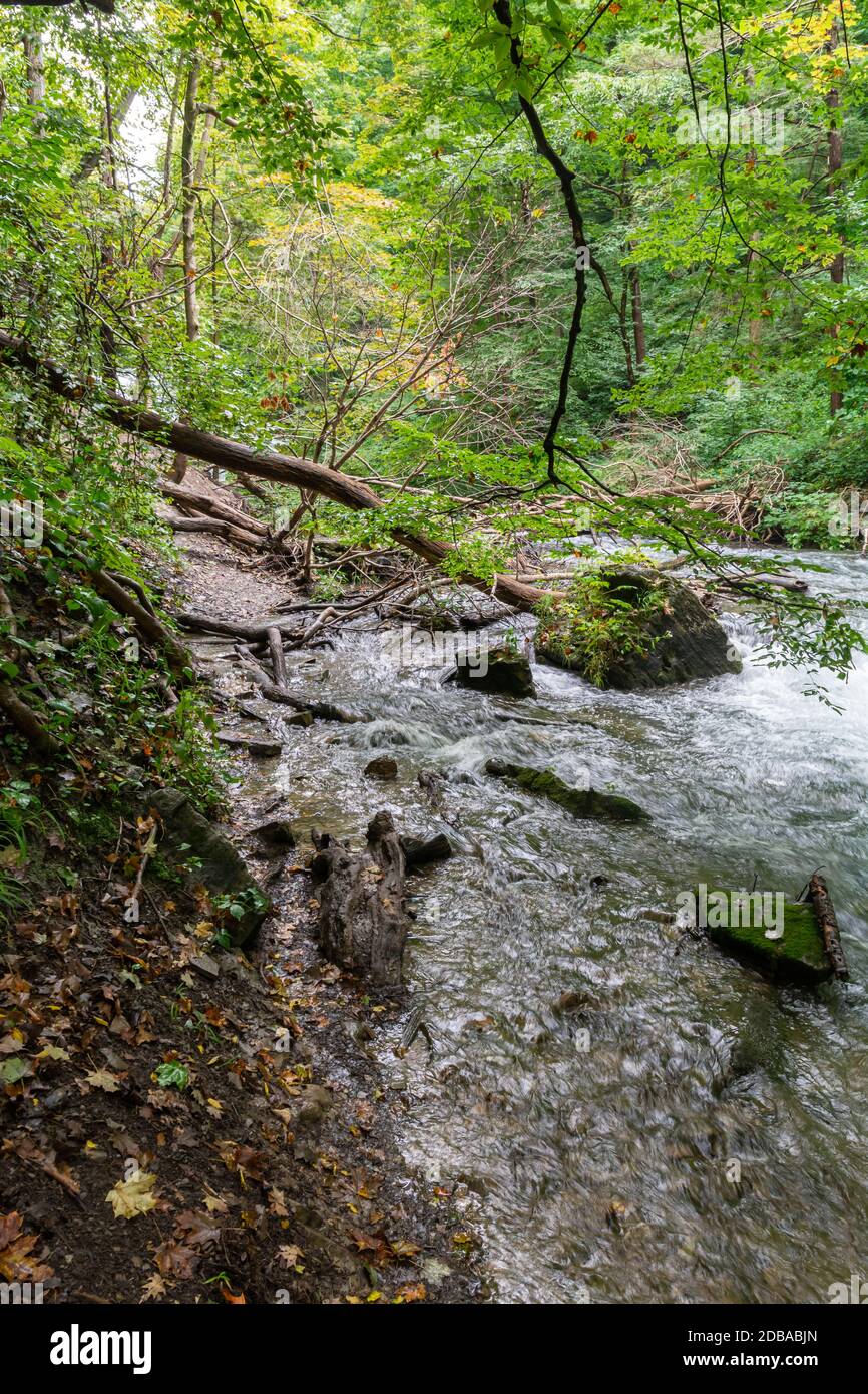 Lower Decew Conservation Area Ontario Canada Stock Photo - Alamy