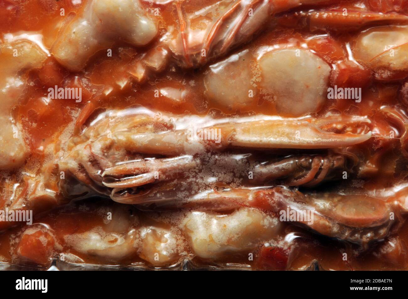 Crustaceans and molluscs frozen in the package. Stock Photo