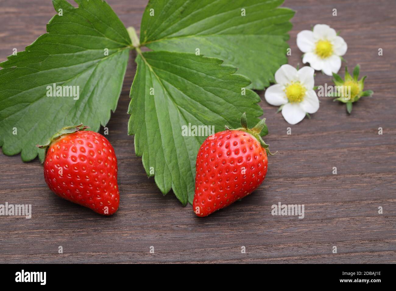 fresh red strawberry with flower on dark wooden table Stock Photo