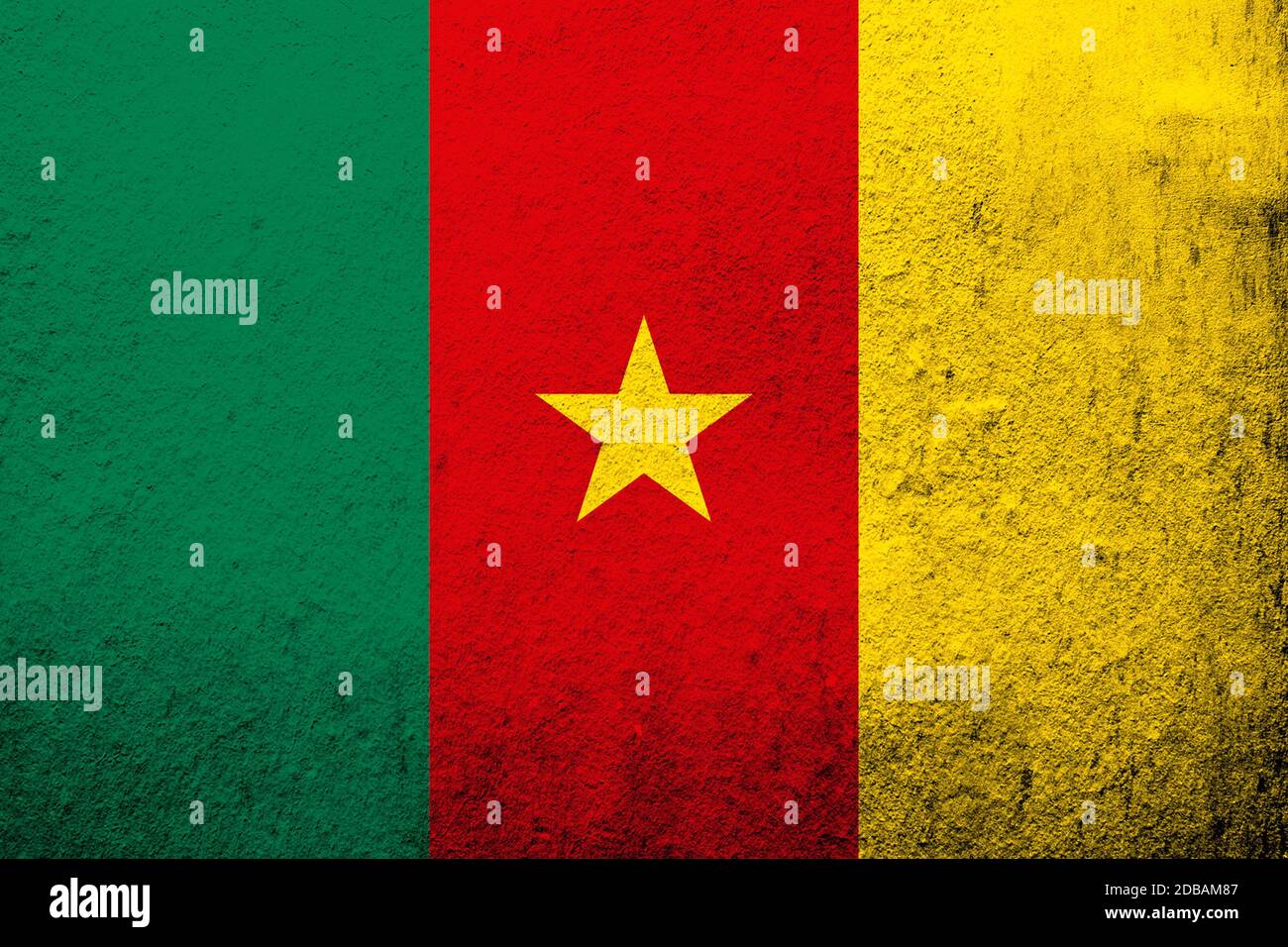 The Republic of Cameroon National flag. Grunge Background Stock Photo