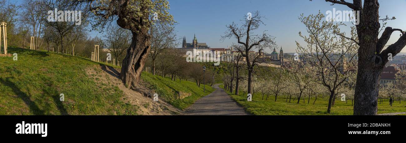 Prague in Blossom, panoramic view from the Petrin Hill towards the Prague Castle Stock Photo