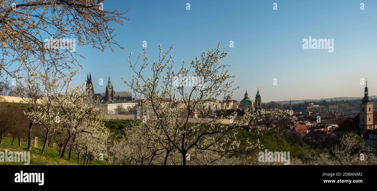 View from the Petrin Hill to the Prague Castle in spring Stock Photo