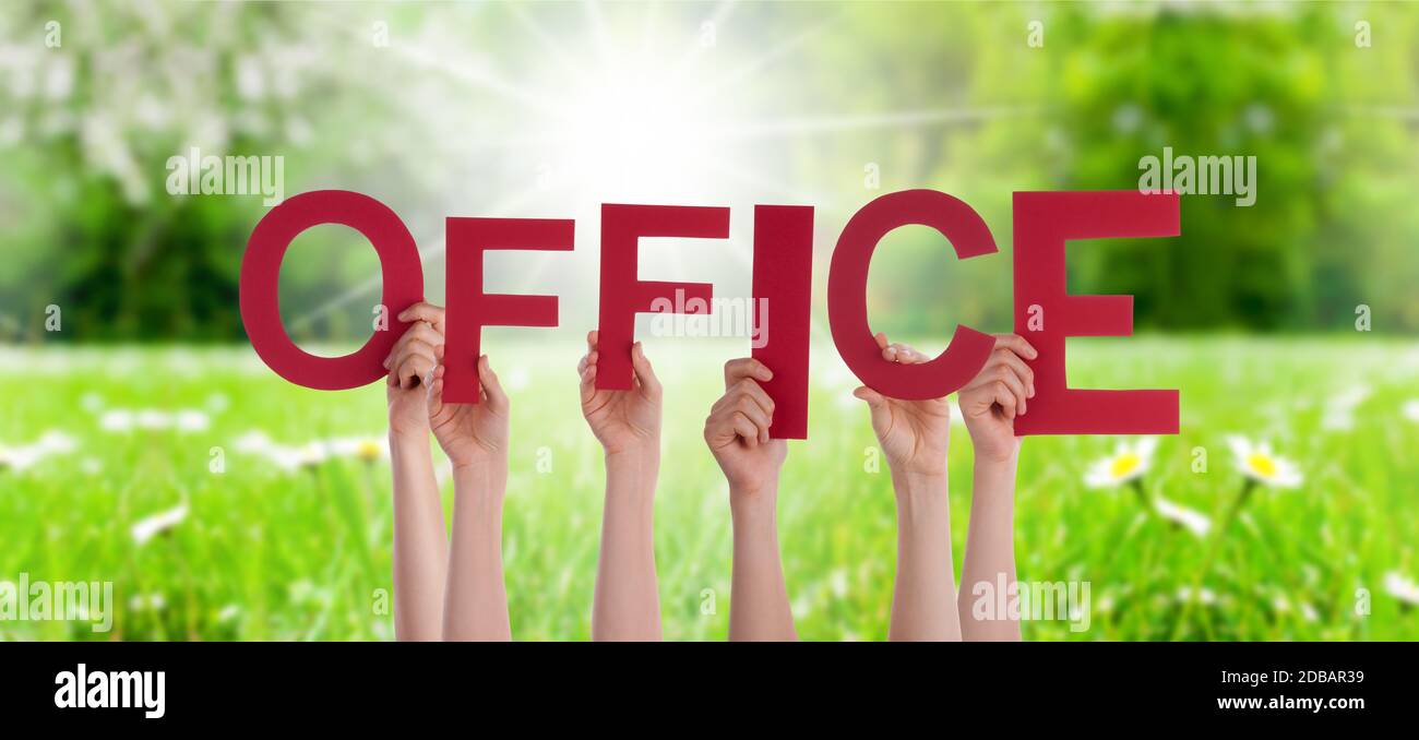 People Hands Holding Colorful English Word Office. Sunny Green Grass