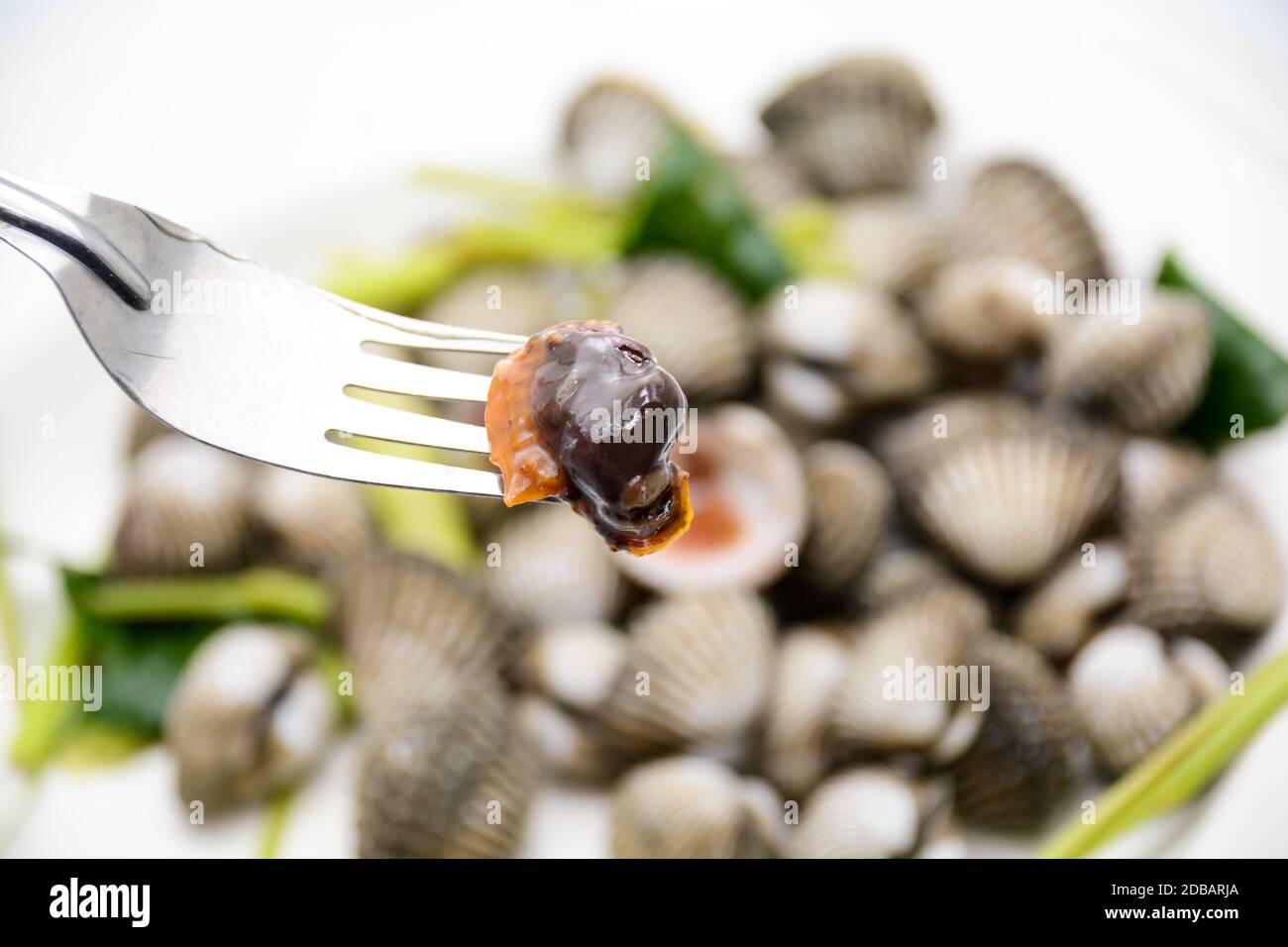 Boiled cockles or scallops with seafood sauce Stock Photo Alamy