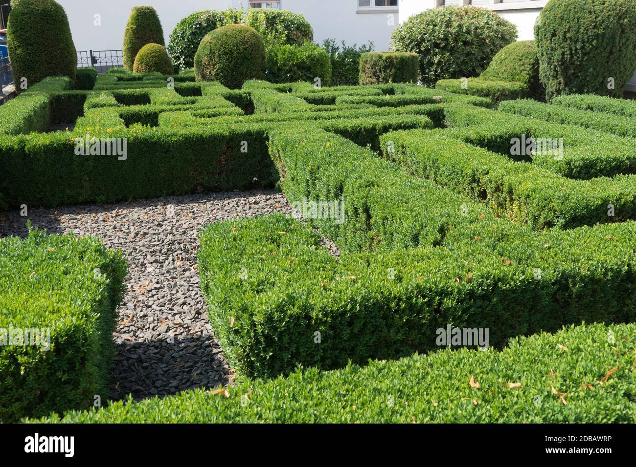 Modern garden architecture with labyrinth of box trees Stock Photo