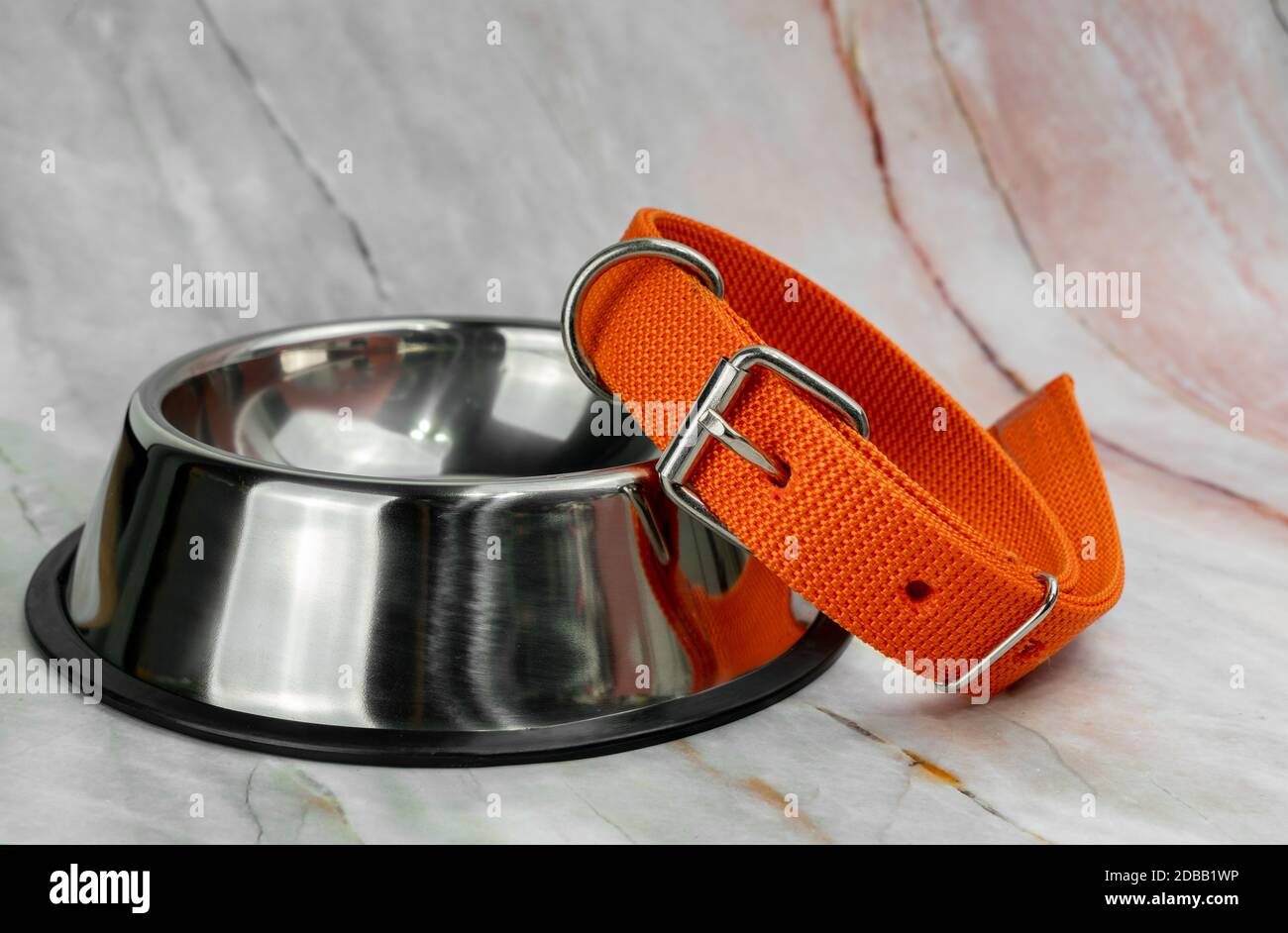 Collars and leashes hi-res stock photography and images - Alamy