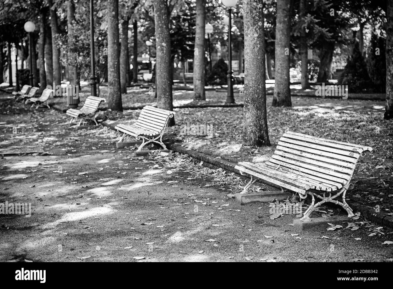 Benches park detail of seats to rest in a park with trees, nature Stock Photo