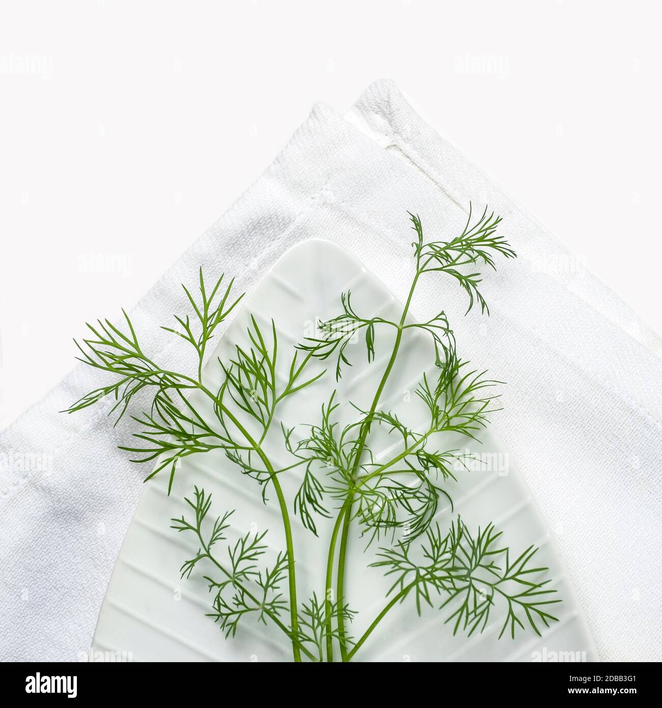 Dill on white background Stock Photo