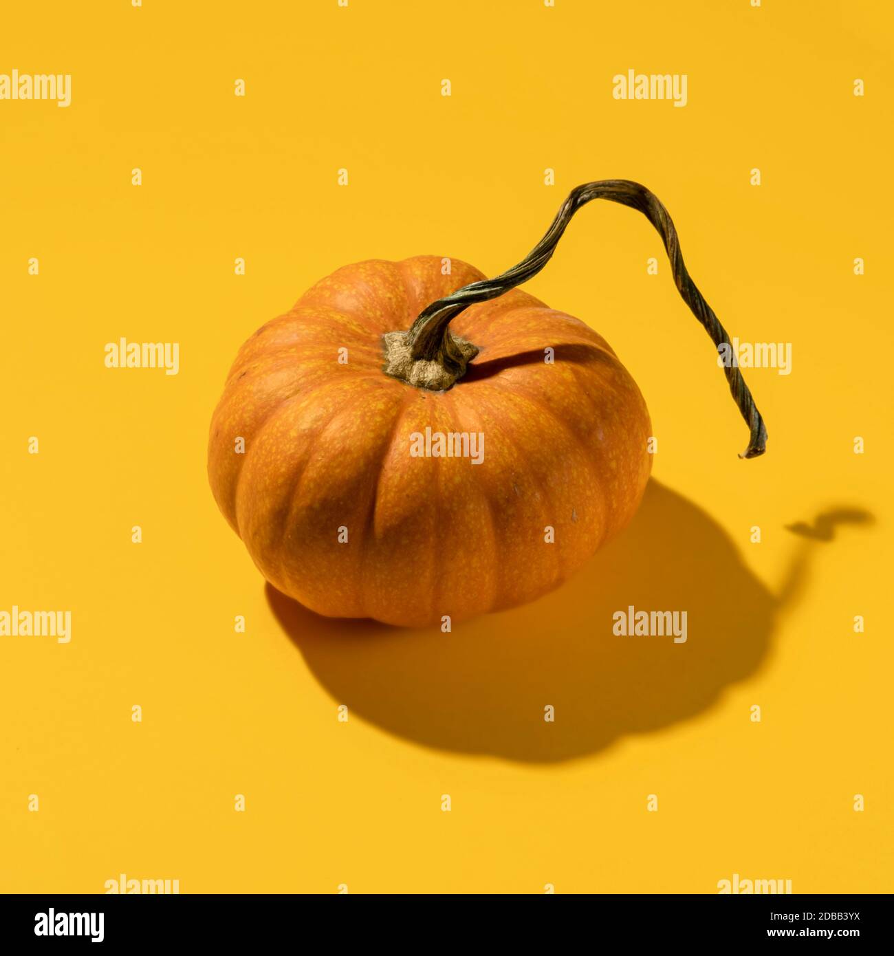 Pumpkin on orange background Stock Photo