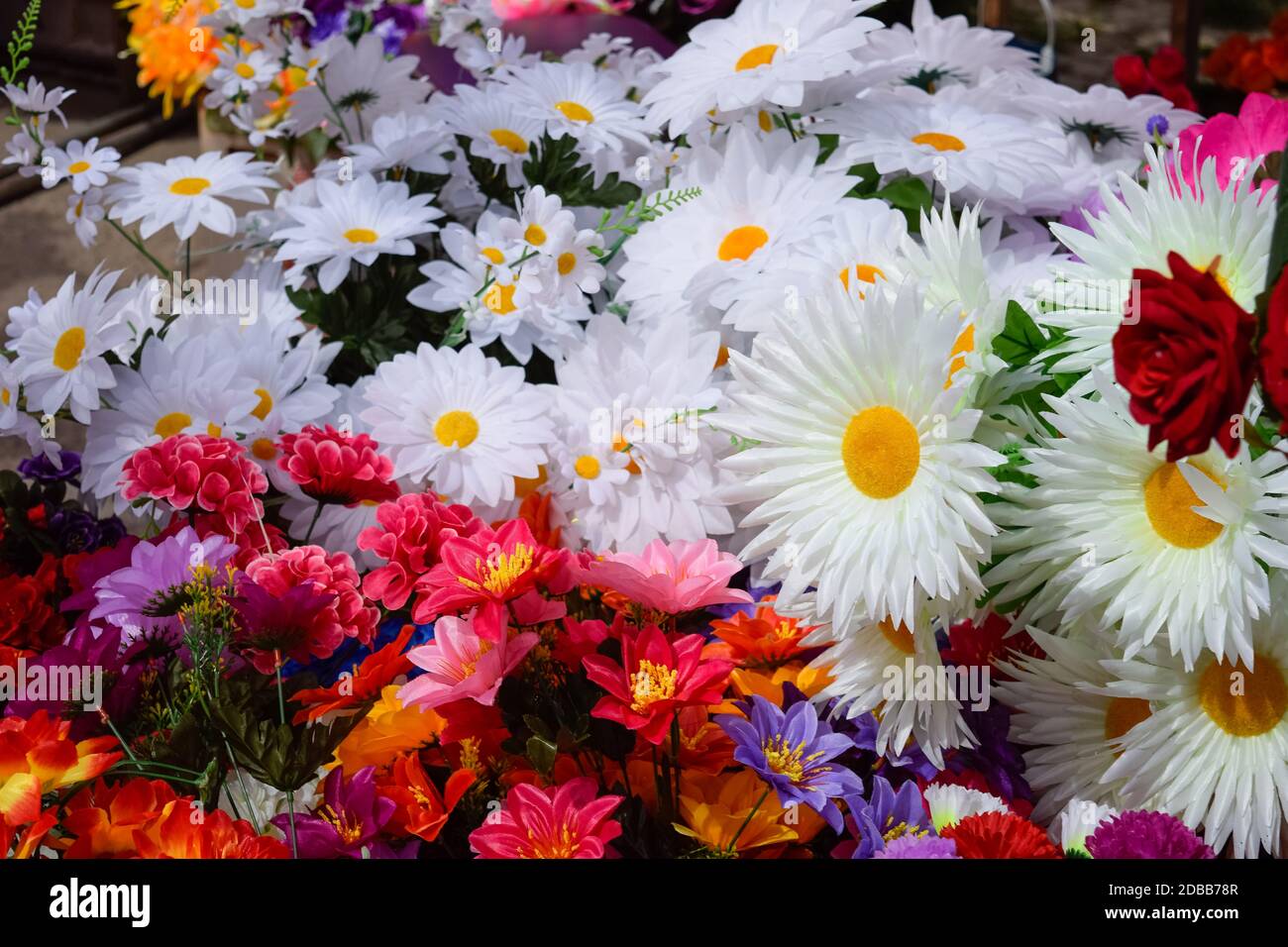 The flower shop counter. Lots of different colors Stock Photo Alamy