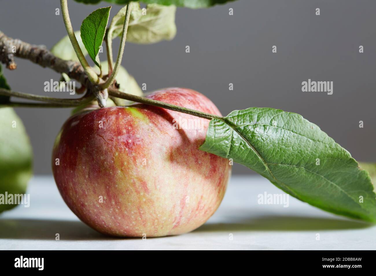 Close up of apple with stem and leaf Stock Photo