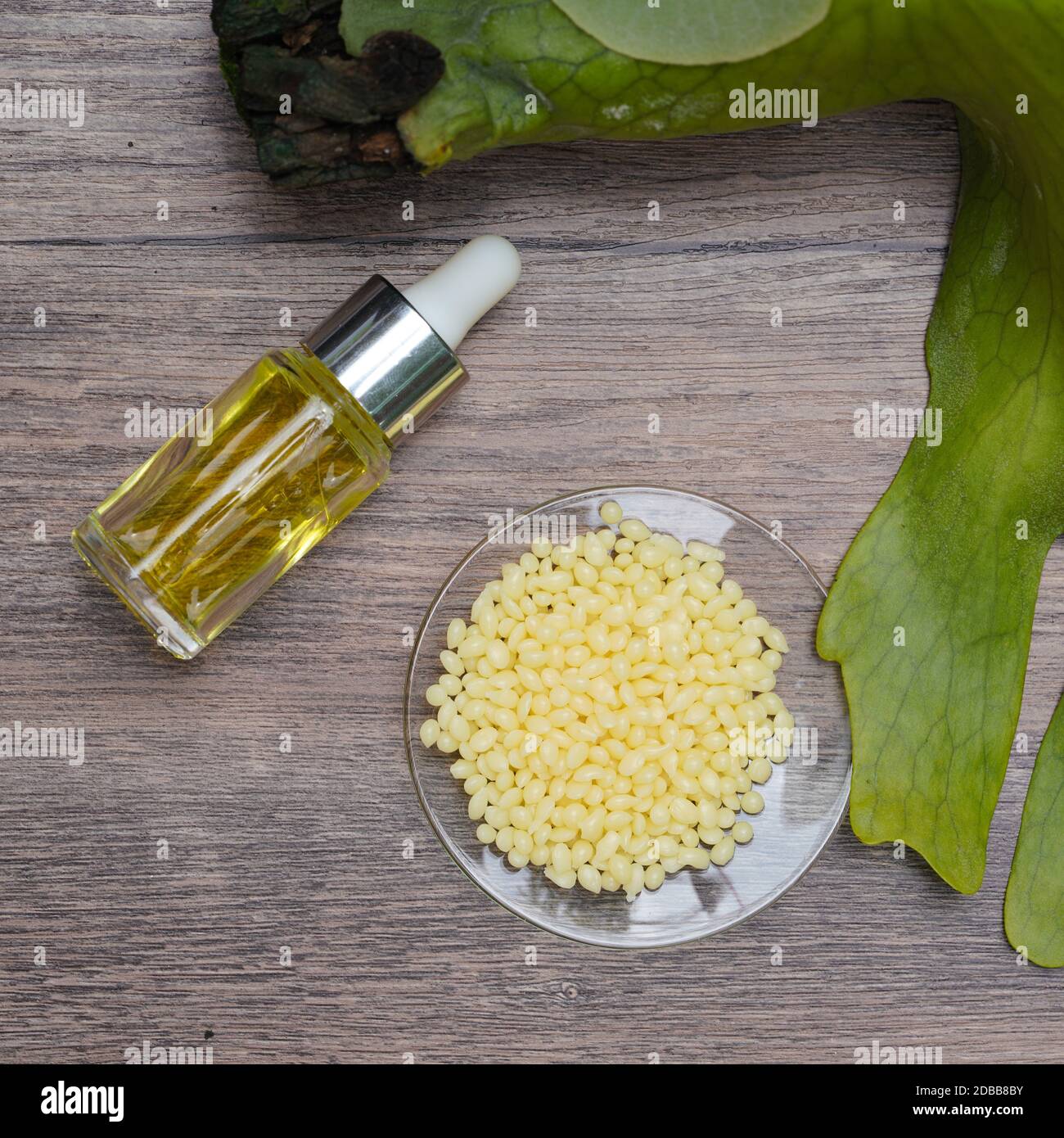 Candelilla Wax SP-75. Chemical ingredient for Cosmetics & Toiletries product. Stock Photo