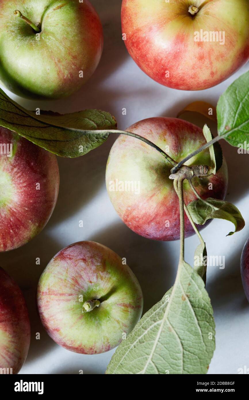 Close up of freshly harvested apples Stock Photo
