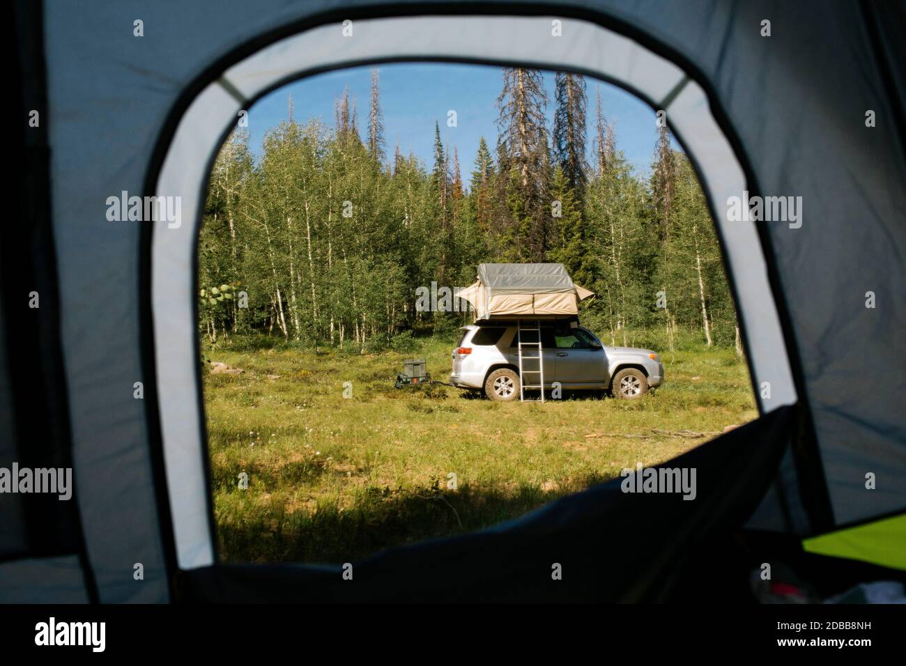 USA, Utah, Uinta National Park, View from tent on car parked in forest Stock Photo
