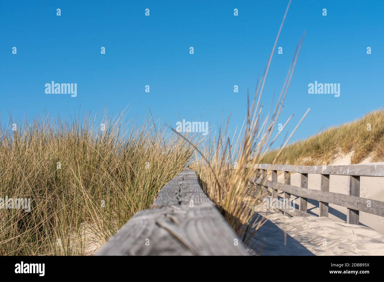 Wooden plank bridge Stock Photo - Alamy