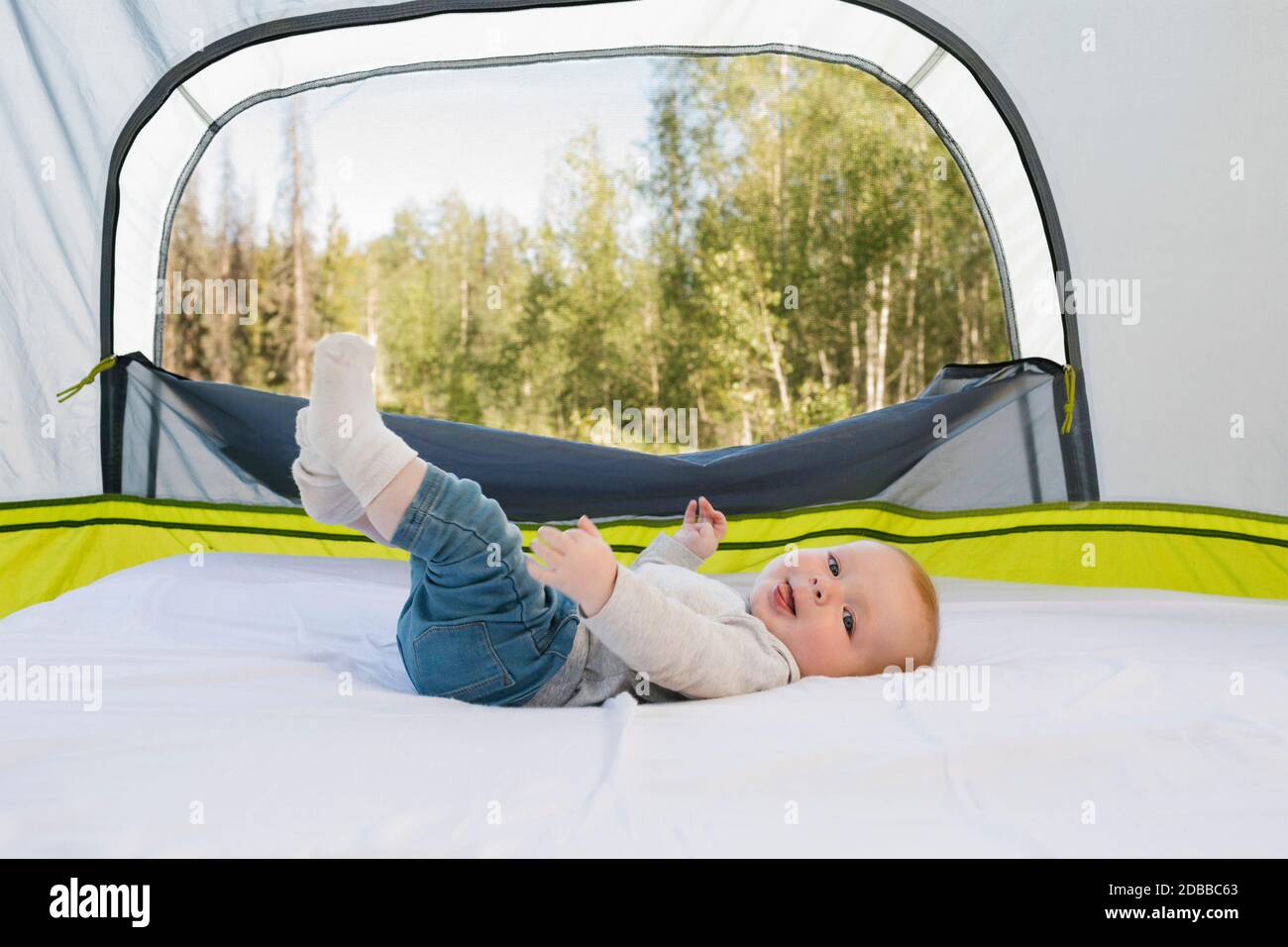 USA, Utah, Uinta National Park, Baby boy (6-11 months) lying in tent, forest in background Stock Photo