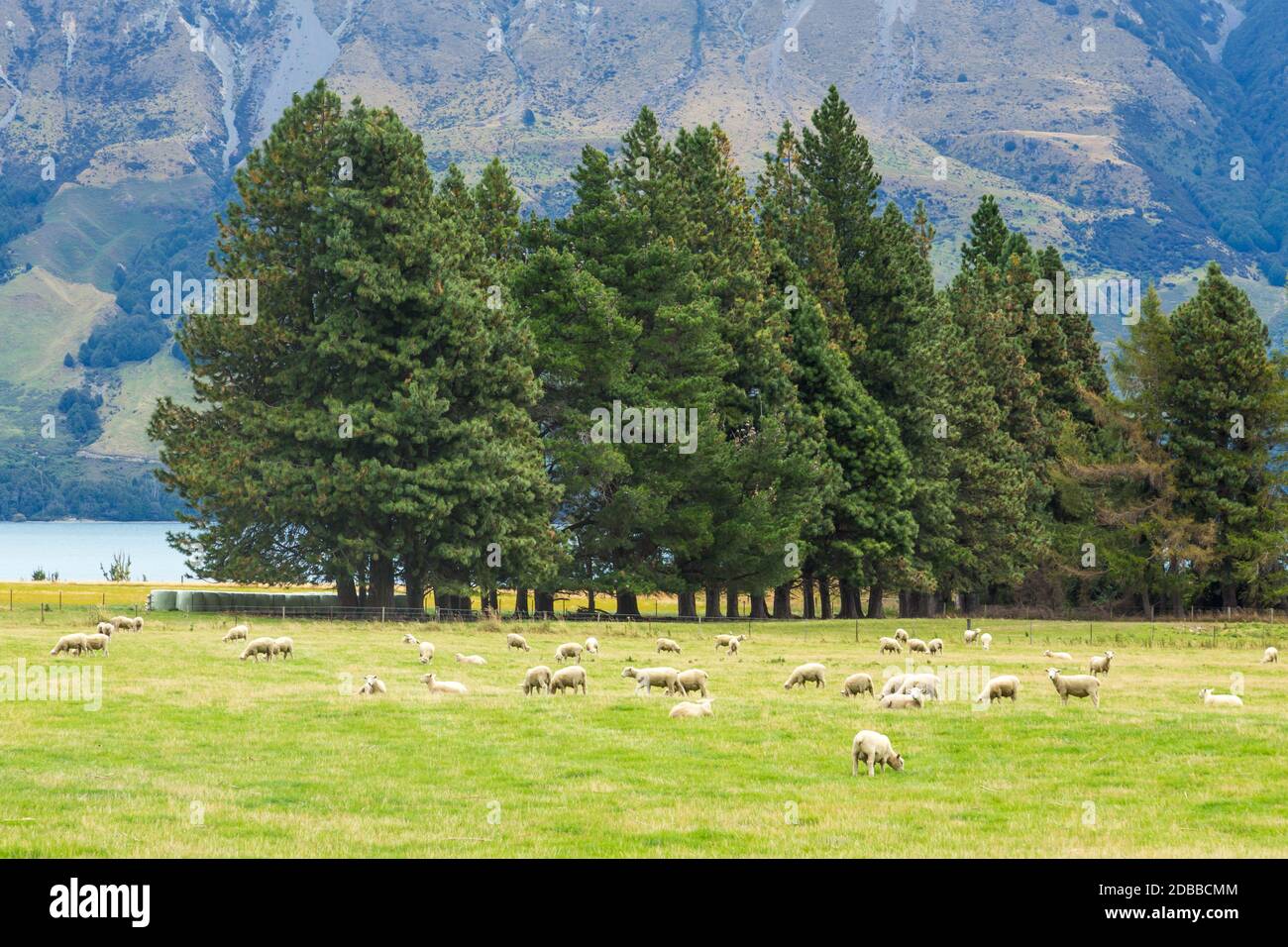 Queenstown in New Zealand. The city of adventure and nature Stock Photo ...