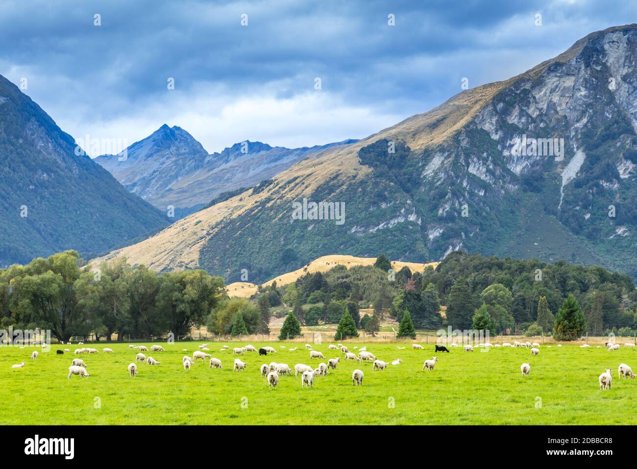 Queenstown in New Zealand. The city of adventure and nature Stock Photo ...