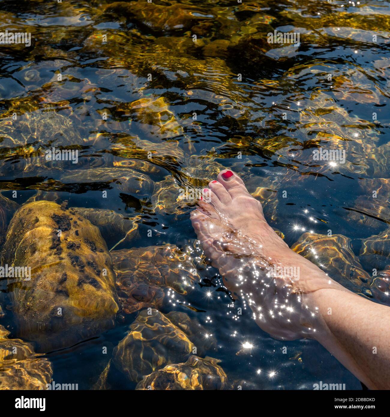 Woman's foot in river Stock Photo