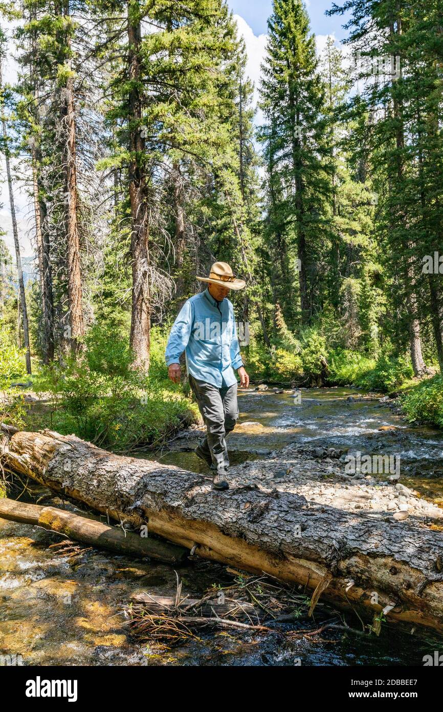 USA, Idaho, Sun Valley, Man crossing river in forest Stock Photo