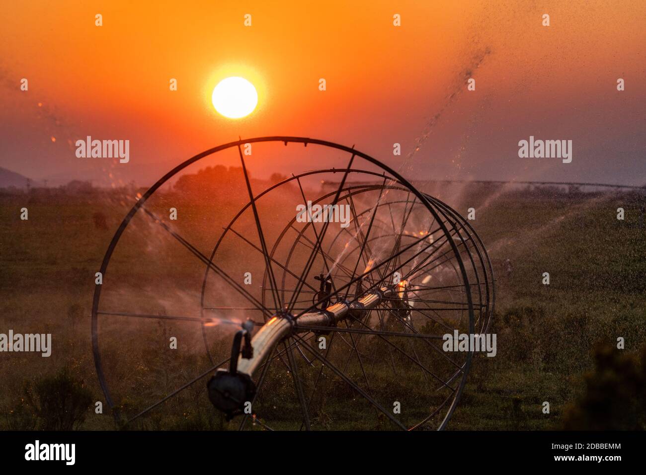 USA, Idaho, Bellevue, Irrigation wheel at sunset Stock Photo Alamy