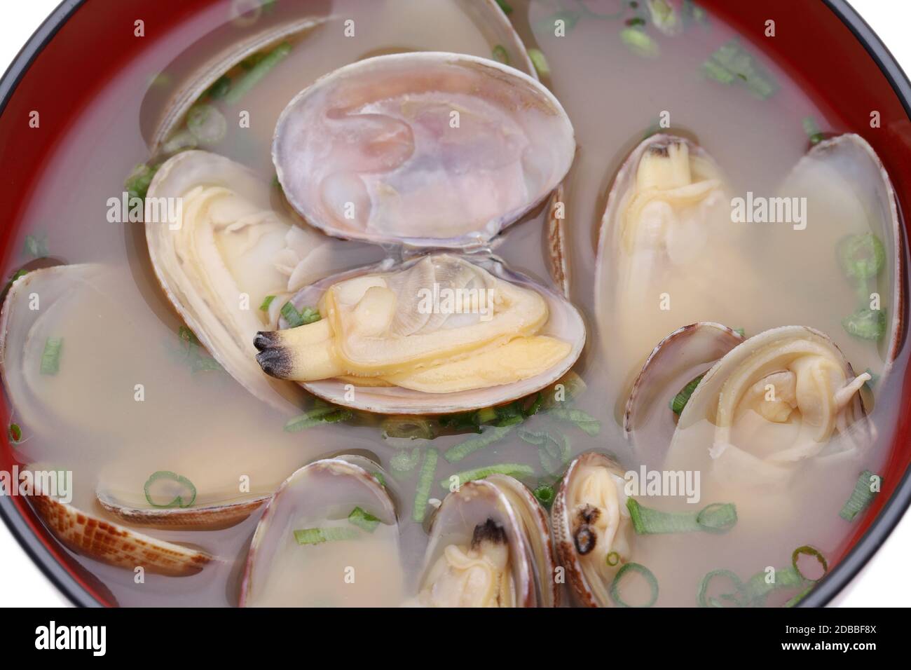 Close up of Japanese miso soup with asari clams in a bowl Stock Photo