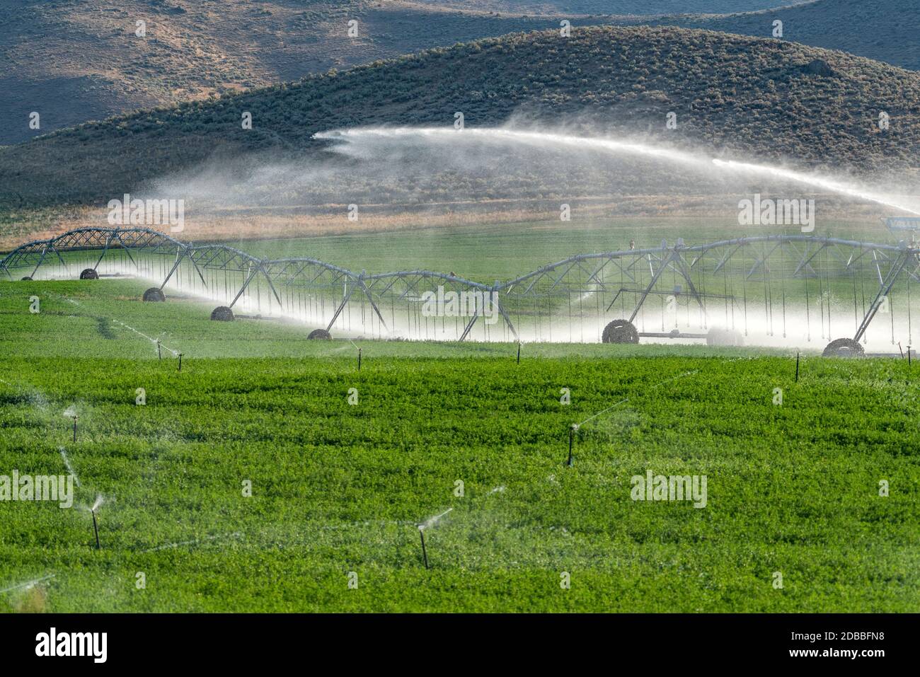 USA, Idaho, Bellevue, Center pivot irrigation system sprinkling water