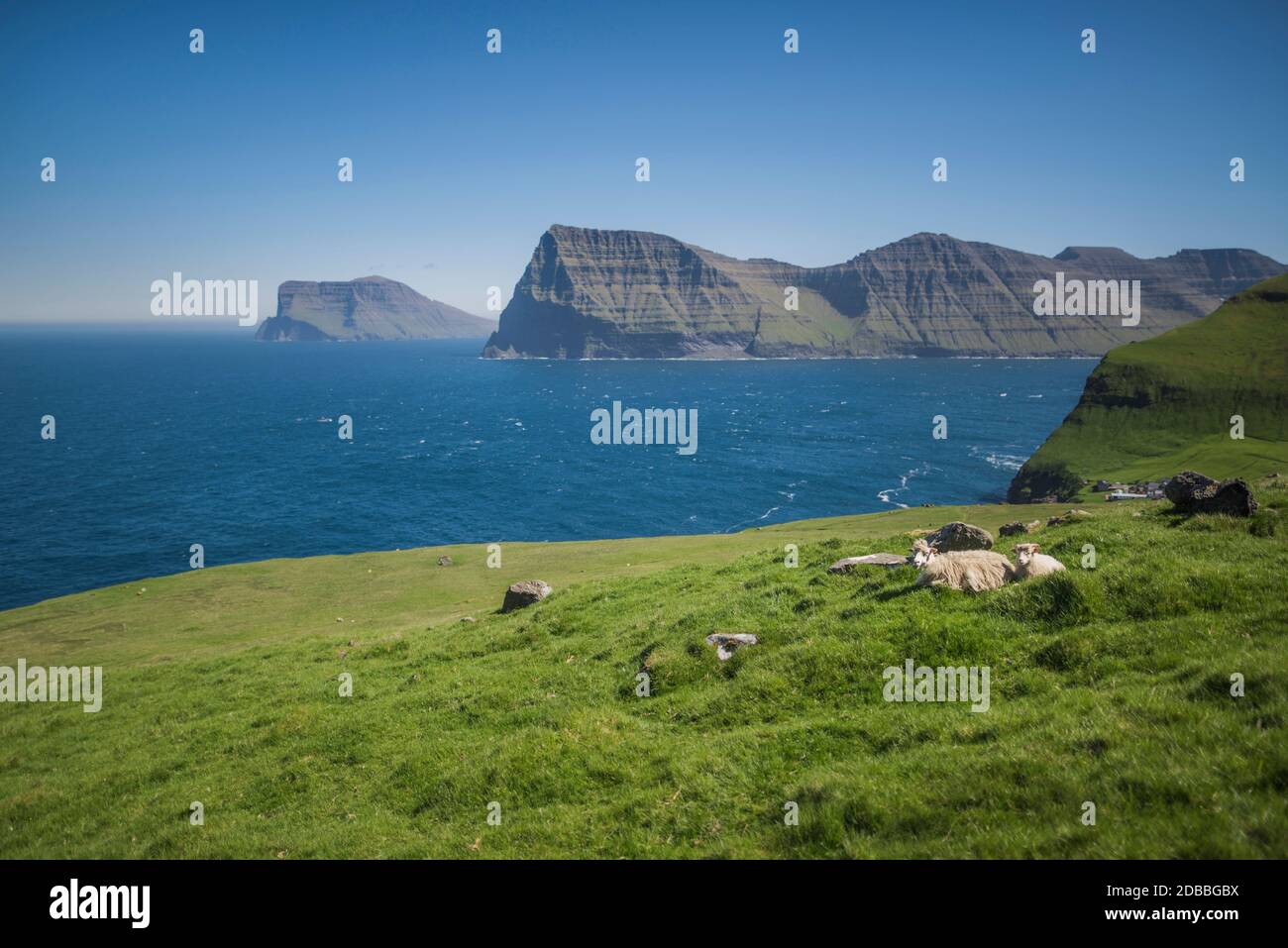 Denmark, Faroe Islands, Klaksvik, Trollanes, Sheep lying on coast Stock Photo
