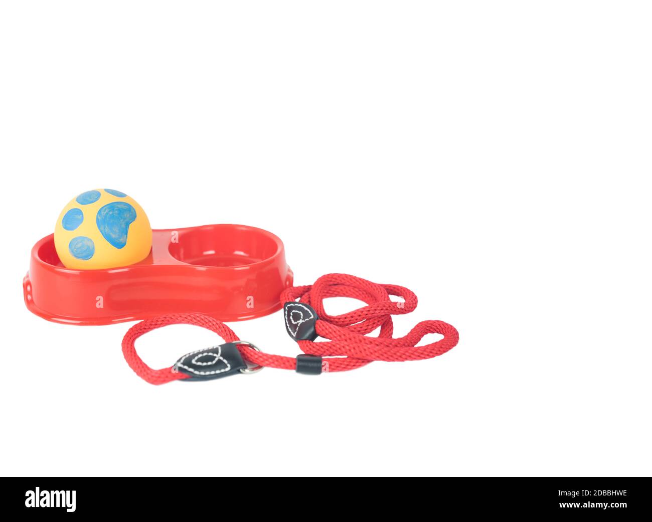 Pet toy in bowl and leashes on isolated white background.  Pet accessories concept Stock Photo