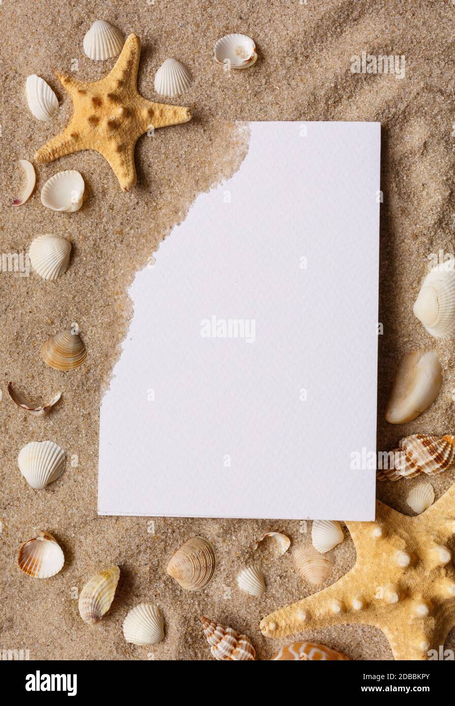 Starfishes and seashells on beach sand with wave pattern, flat lay. Space for text. Empty card Stock Photo