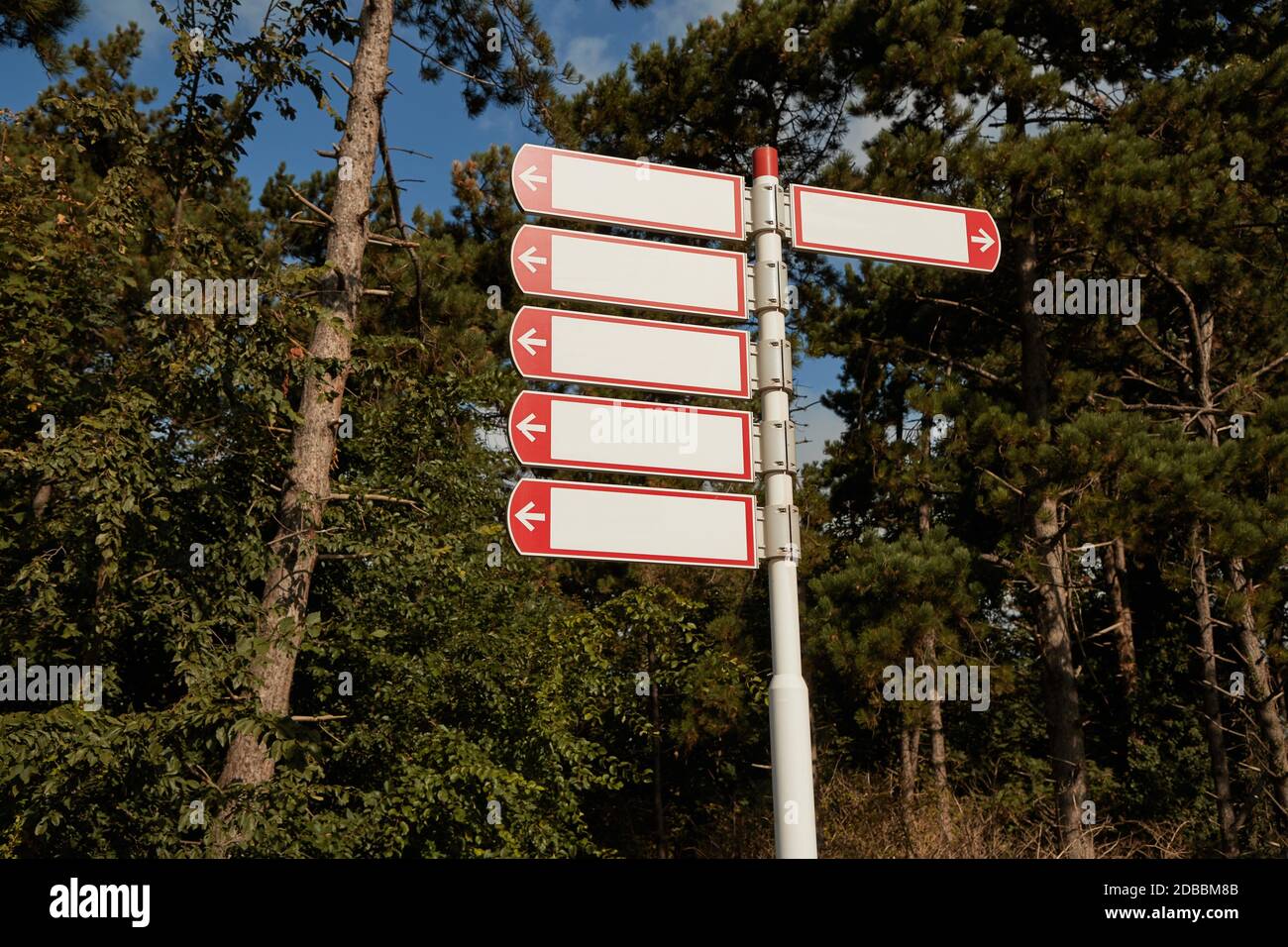Direction signs against pine tree forest park Stock Photo Alamy
