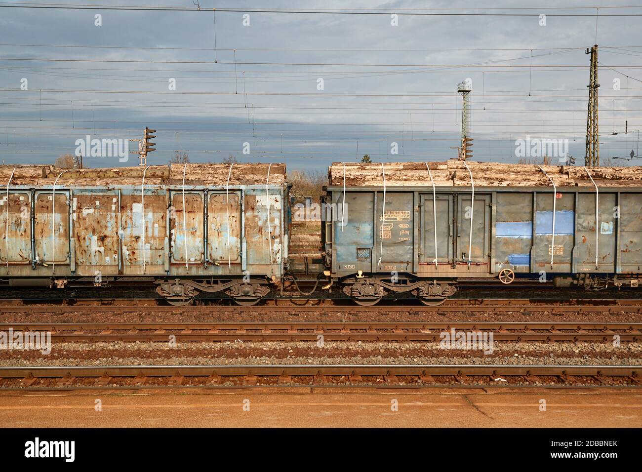 Freight train on the rails, logs in the wagons Stock Photo - Alamy
