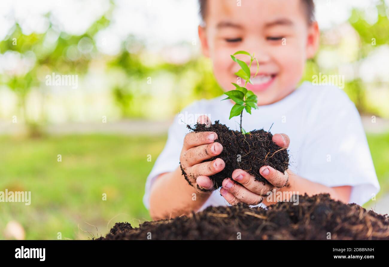 World Environment Day Environment Concept, Hand of Asian cute little cheerful child boy holding young tree on black soil ready to plan on green garden Stock Photo