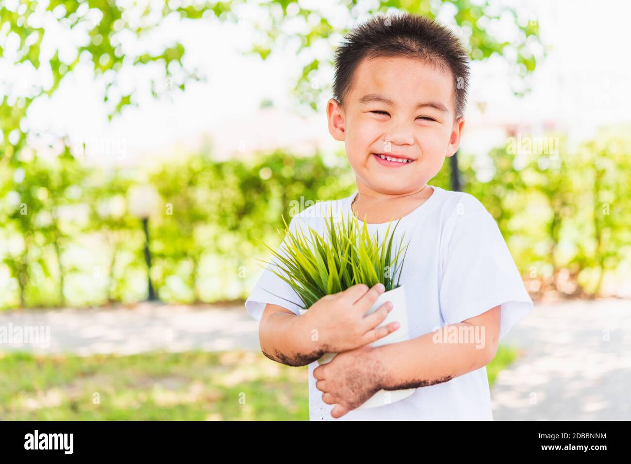 World Environment Day Environment and Save World Concept, Hand of Asian cute cheerful little child boy holding young tree on white pot on green garden Stock Photo