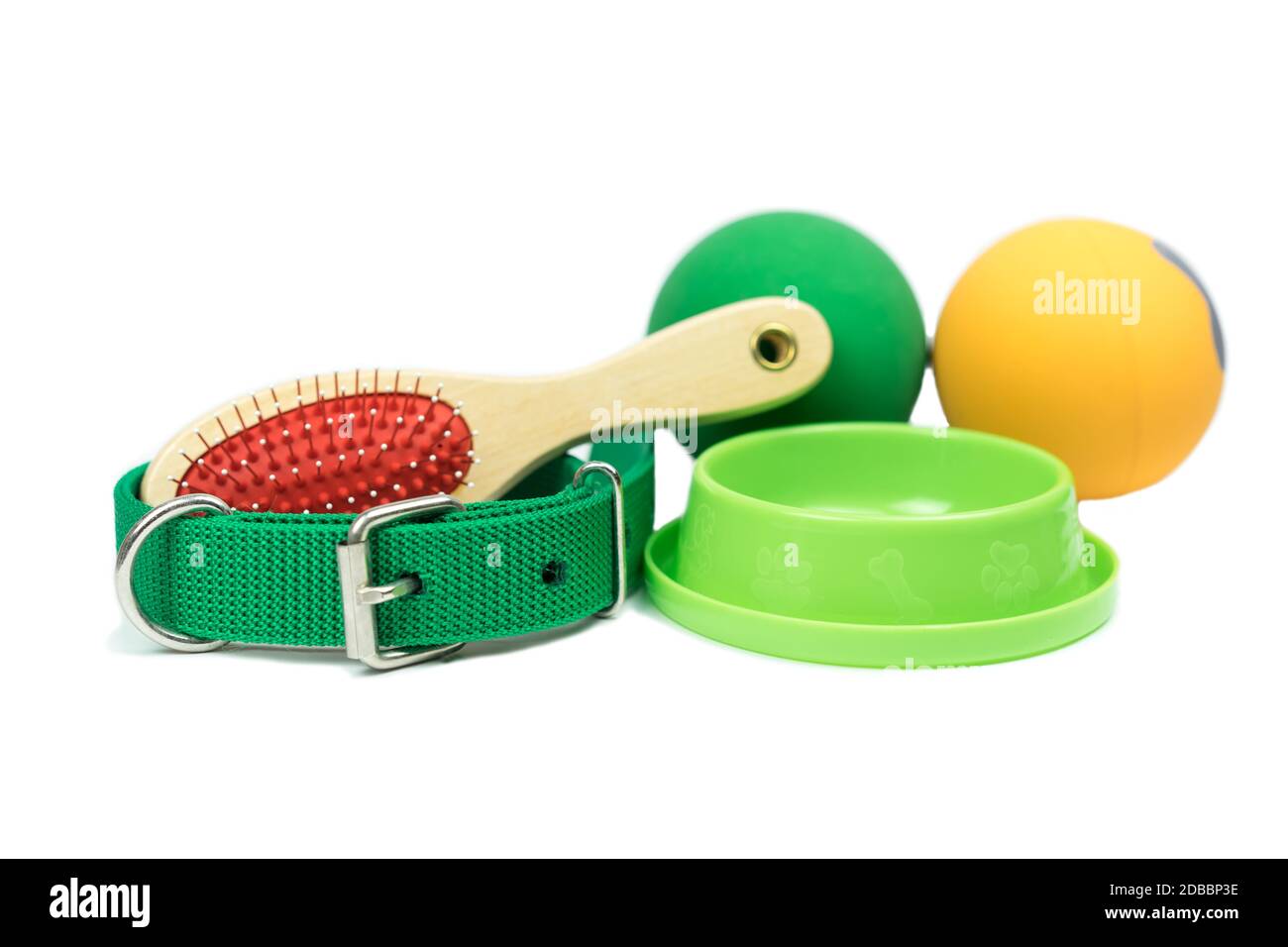 Pet accessories concept. Bowls, Rubber toy, Collars and brush on