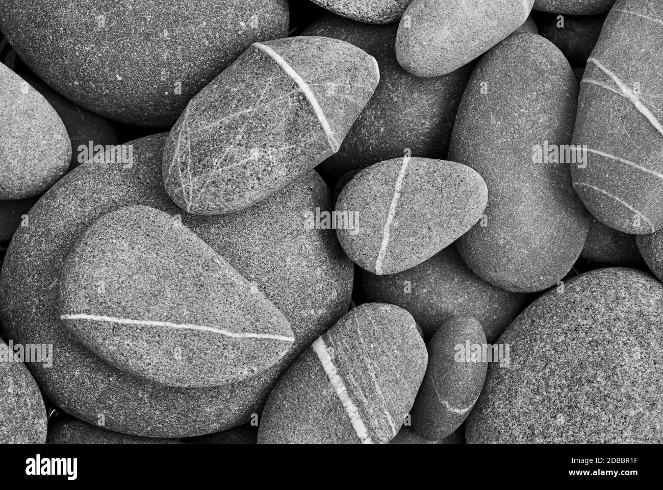 black and white image, selection of grey pebble with a whit line Stock Photo