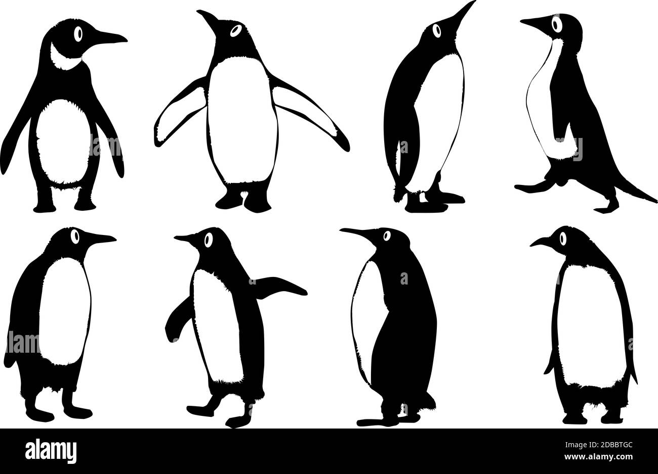 A collection of 8 vector penguins isolated on a white background. Stock Photo