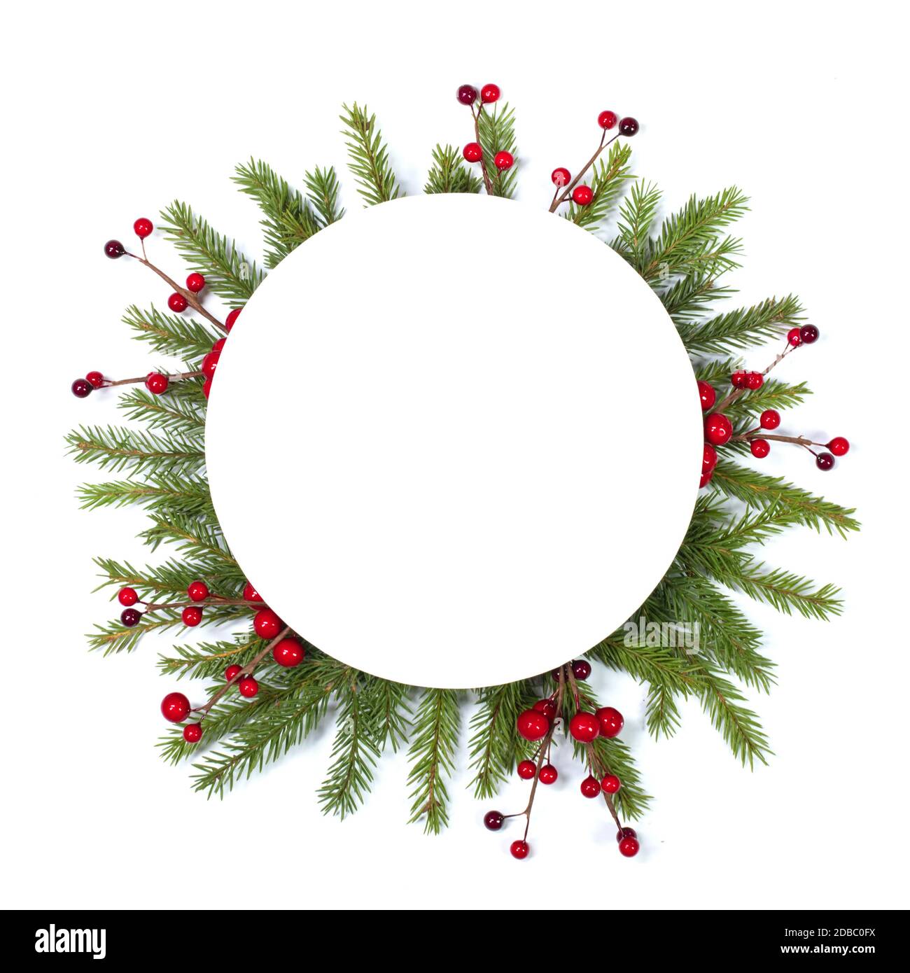 Christmas Border frame of tree branches and red berries on white ...