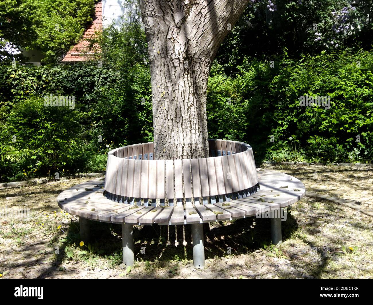 park bench around a tree in a church yard Stock Photo