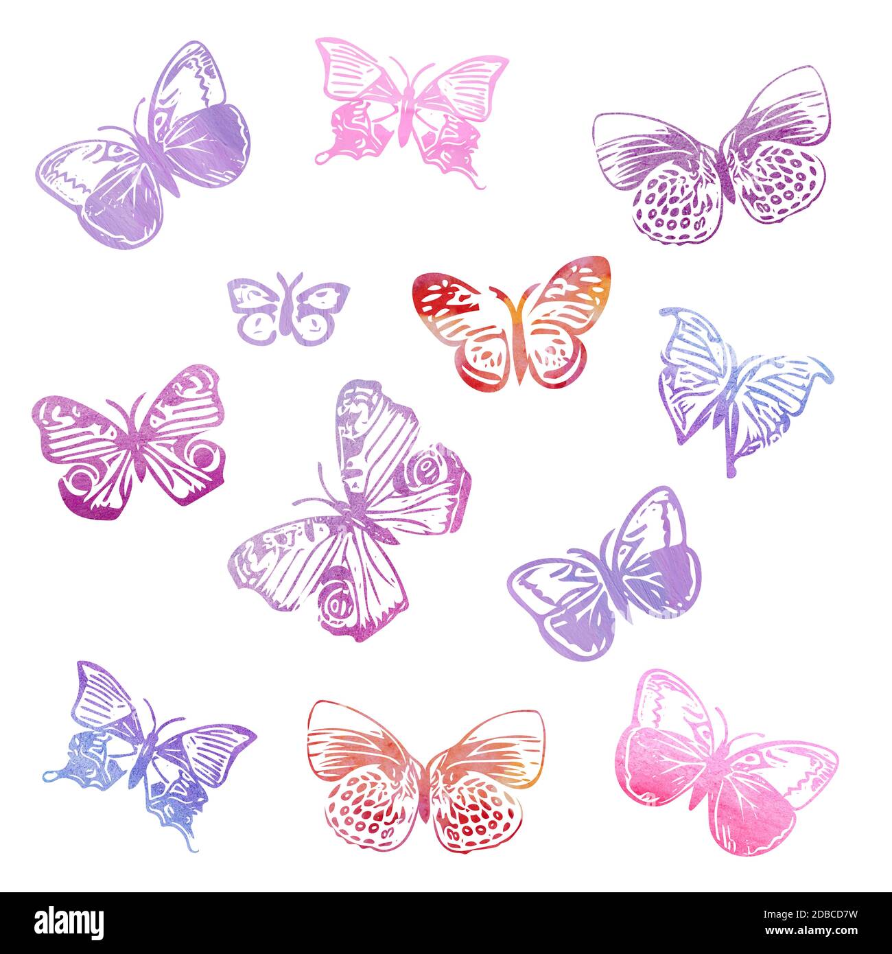 collection of colorful butterflies isolated on white background Stock ...