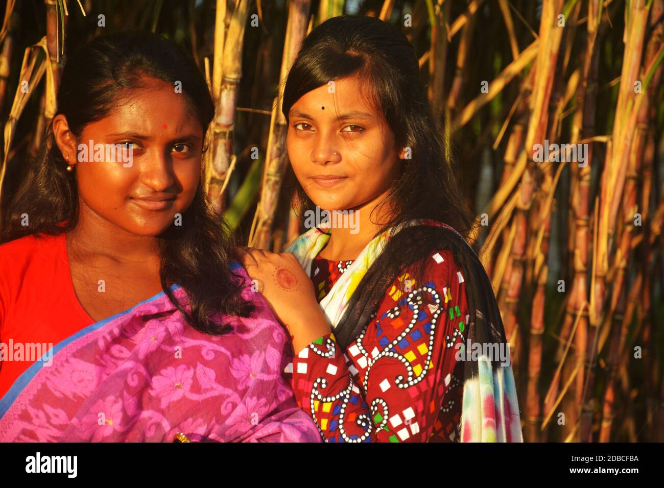 Two beautiful teenage Indian Bengali girls wearing sari and salwar kameez smiling and posing in front of a sugarcane planted agricultural field Stock Photo
