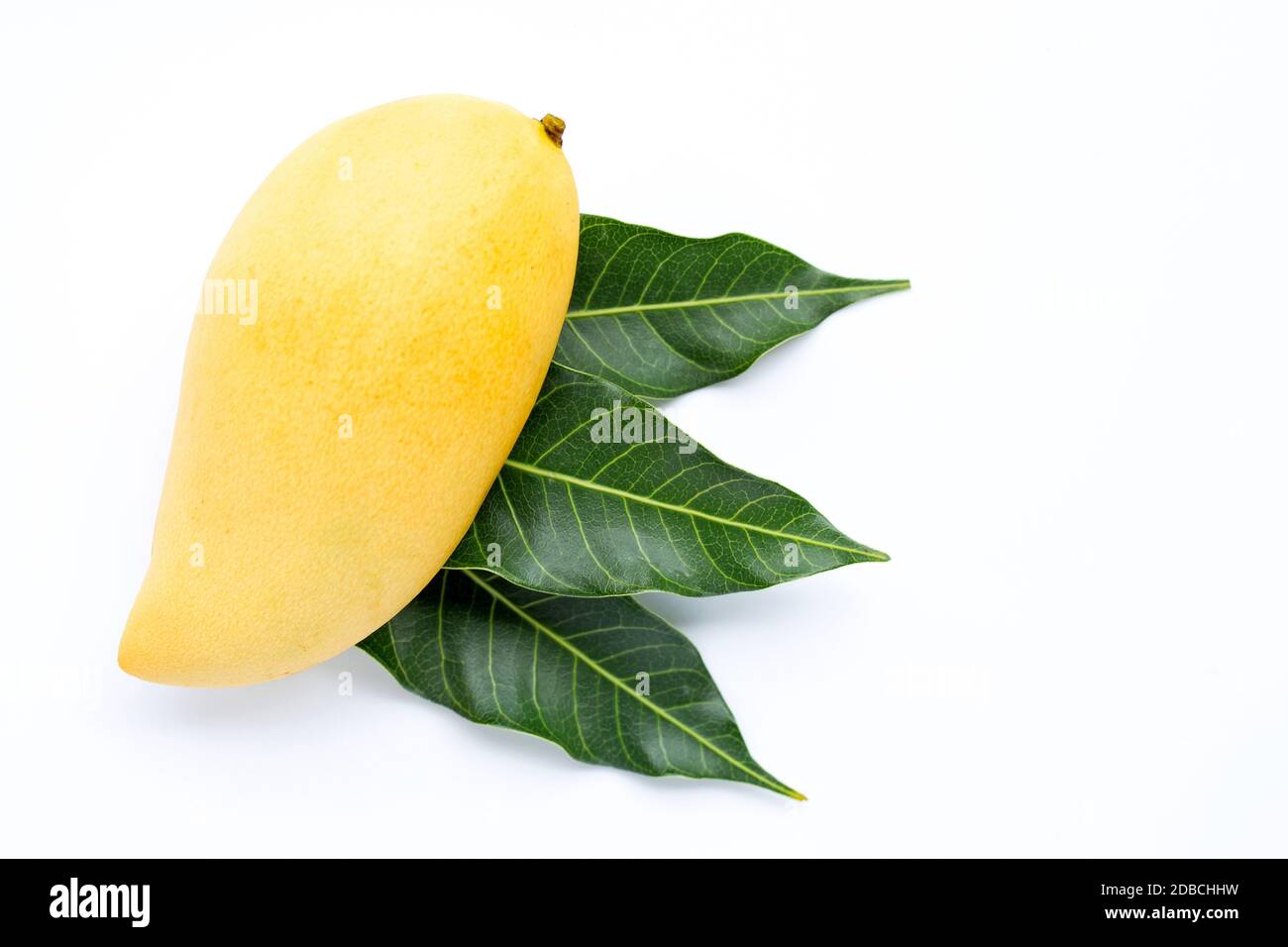 Top view of yellow mango, Tropical fruit juicy and sweet Stock Photo ...