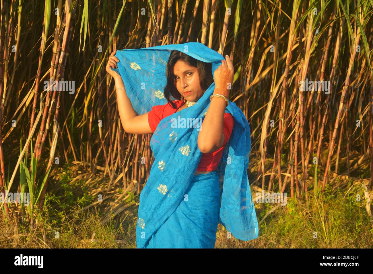 Girl wearing red saree hi-res stock photography and images - Alamy