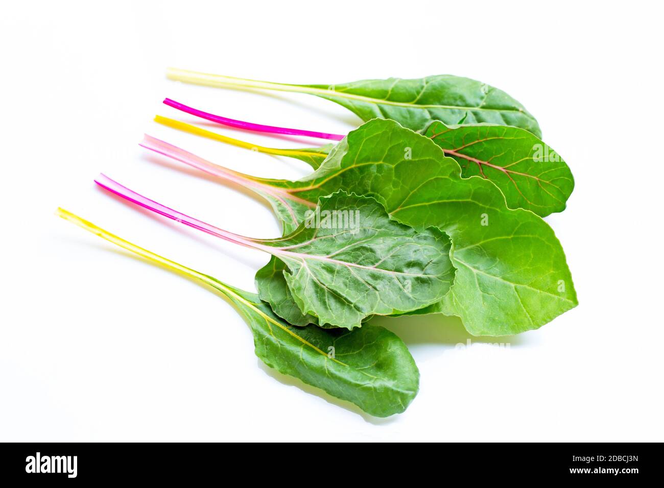 Fresh swiss chard on a white background Stock Photo
