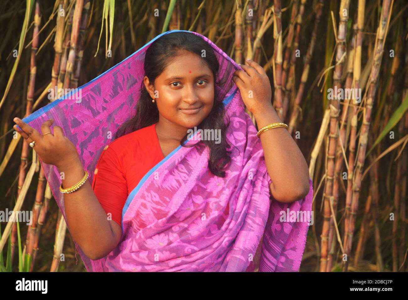 Indian girl child wearing saree hi-res stock photography and images - Alamy