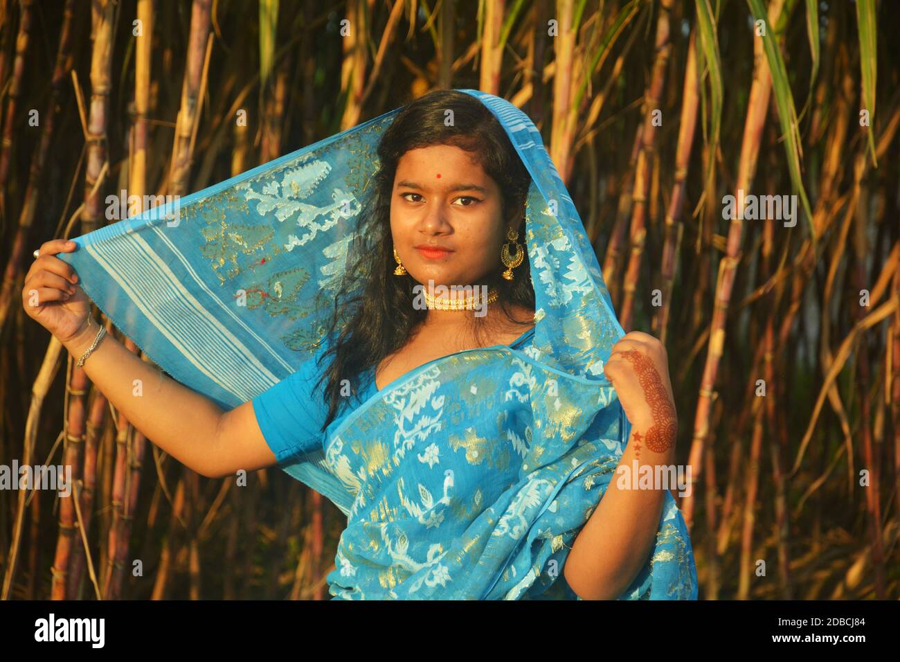 Saree girl hi-res stock photography and images - Page 2 - Alamy