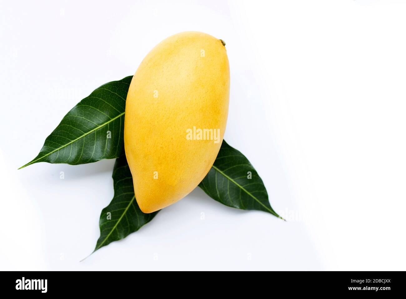 Top view of yellow mango, Tropical fruit juicy and sweet Stock Photo ...