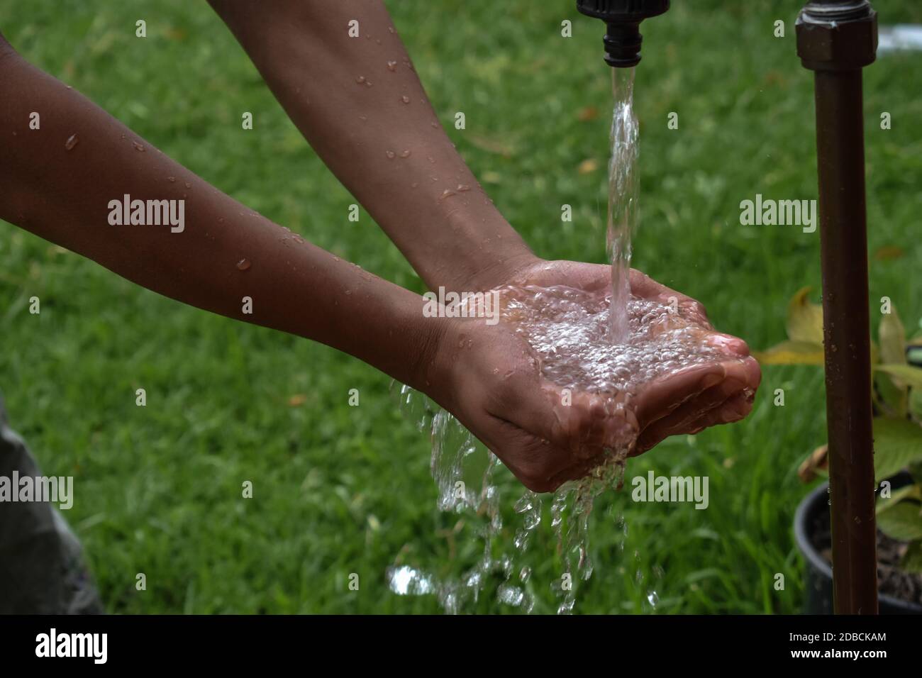 water from an open tap falling into hands with grass in the background Stock Photo
