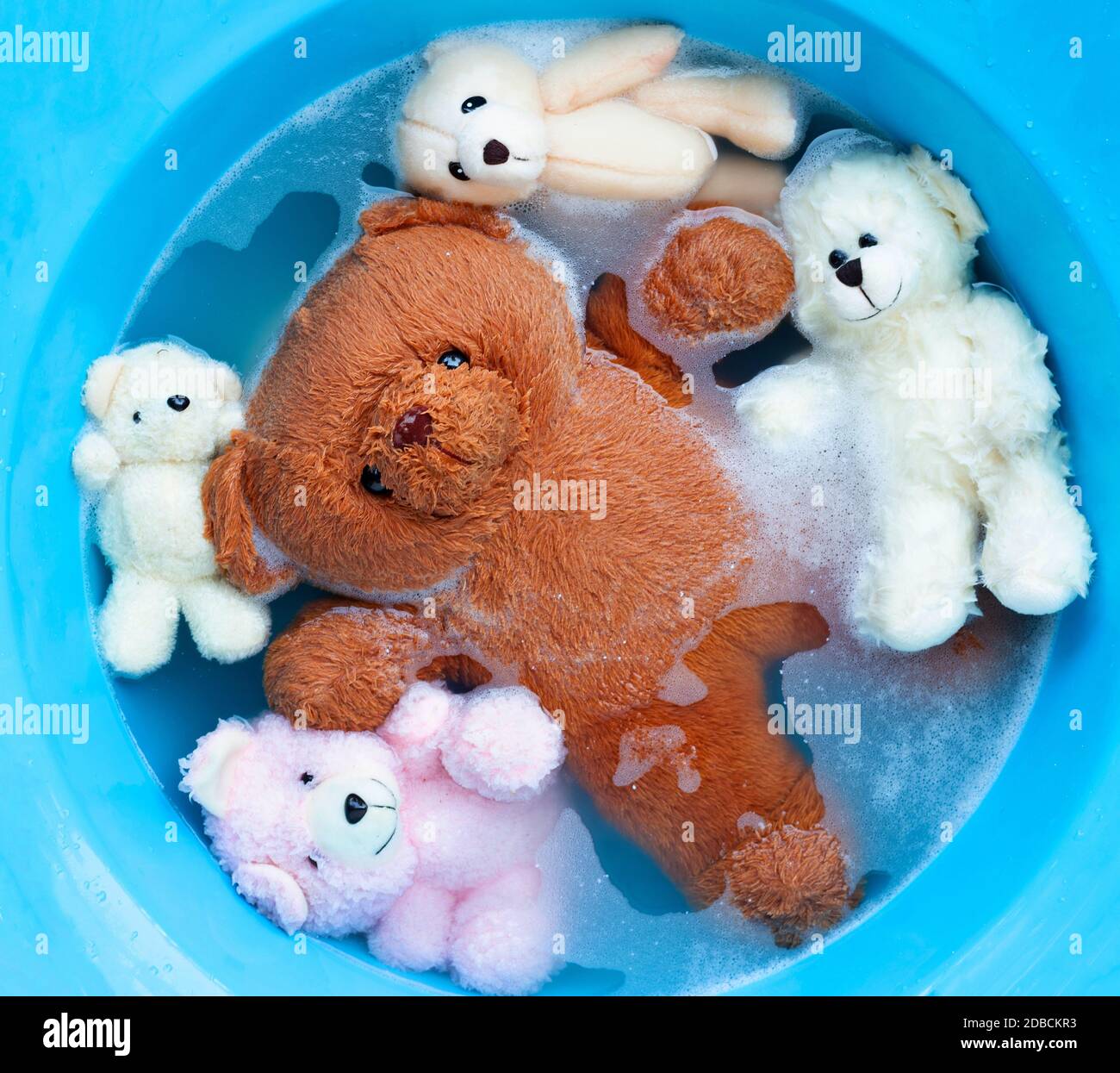 Soak toy bears in laundry detergent water dissolution before washing